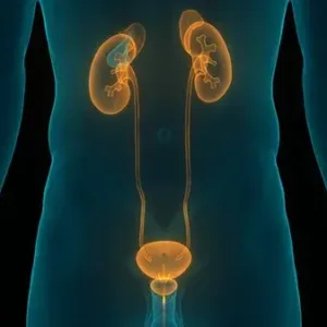 Nephrology