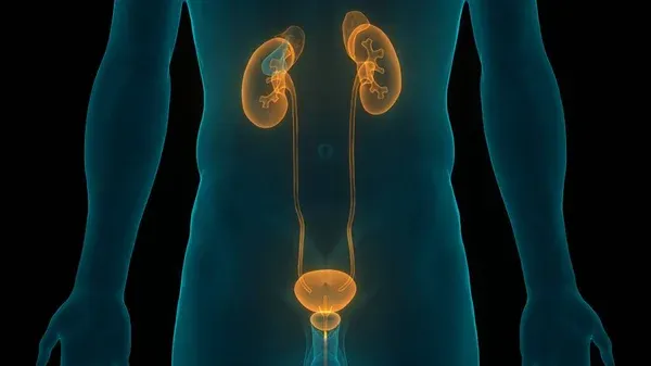 Nephrology